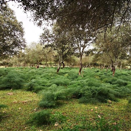 La Fuensanta Villa Hornachuelos Bagian luar foto