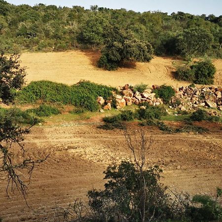 La Fuensanta Villa Hornachuelos Bagian luar foto