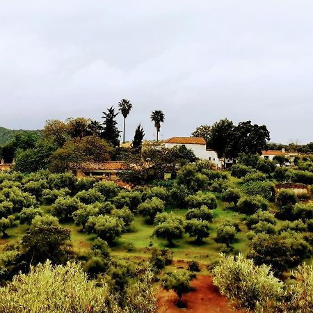 La Fuensanta Villa Hornachuelos Bagian luar foto