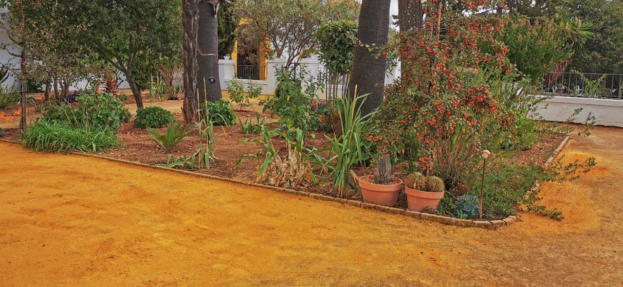 La Fuensanta Villa Hornachuelos Bagian luar foto