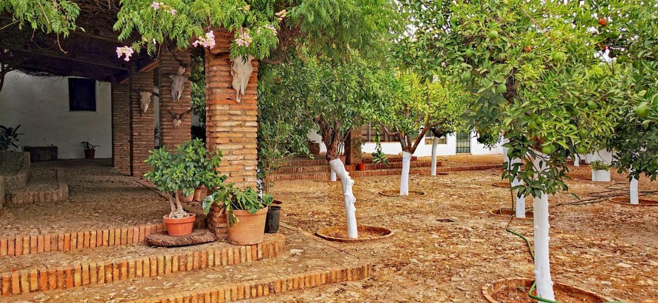 La Fuensanta Villa Hornachuelos Bagian luar foto
