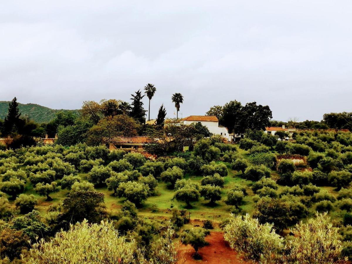 La Fuensanta Villa Hornachuelos Bagian luar foto